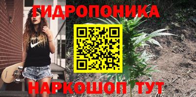винт Будённовск